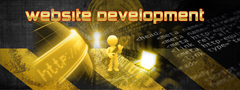 Website Development_Bark_Spider_Web