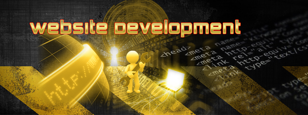 Website Development_Bark_Spider_Web